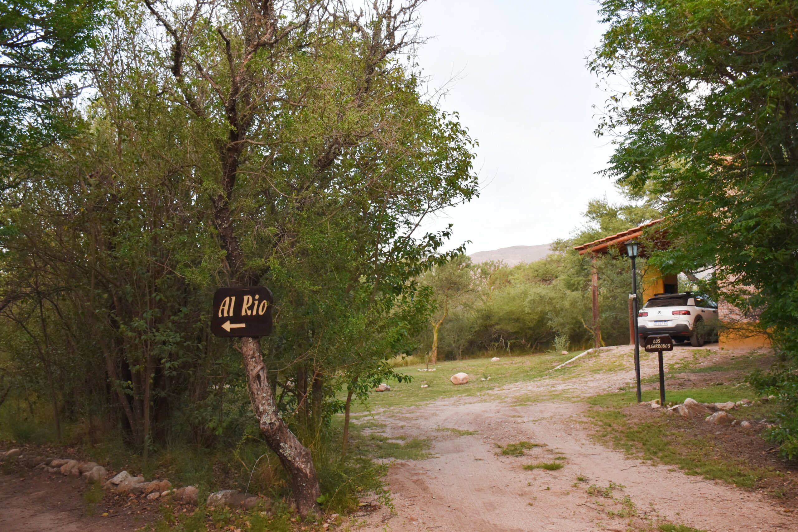 9. EL COMPLEJO