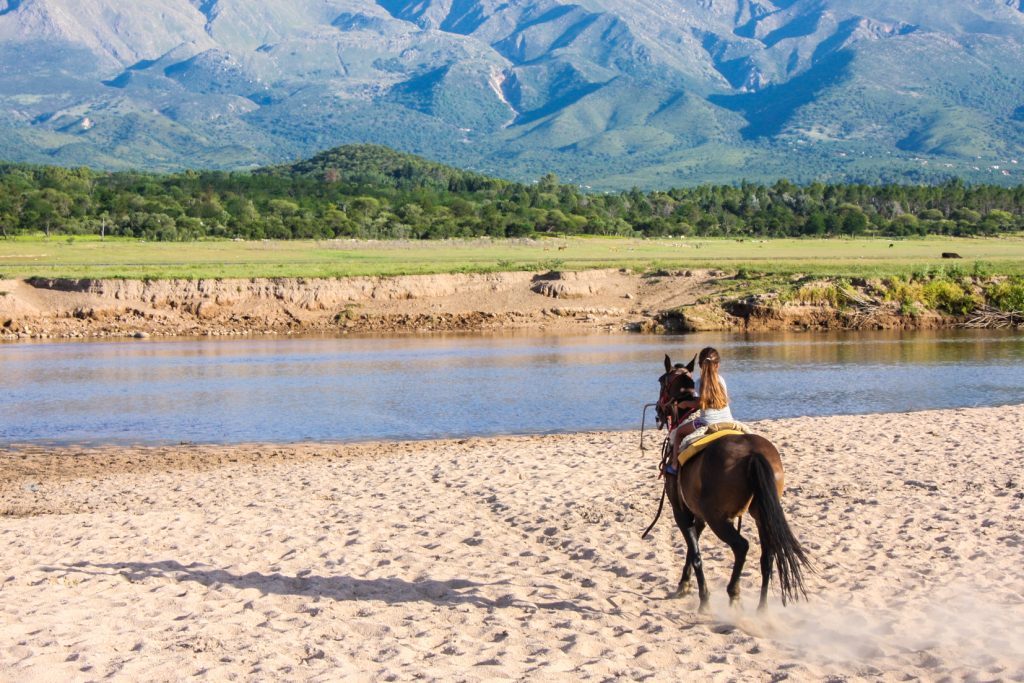 que-hacer-alquiler-caballos